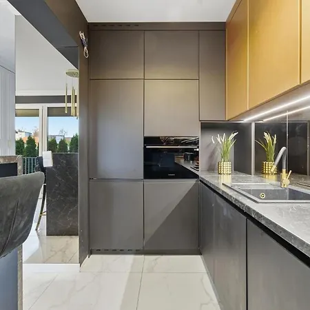 Midnight Garden - Homfi Collection 카토비체