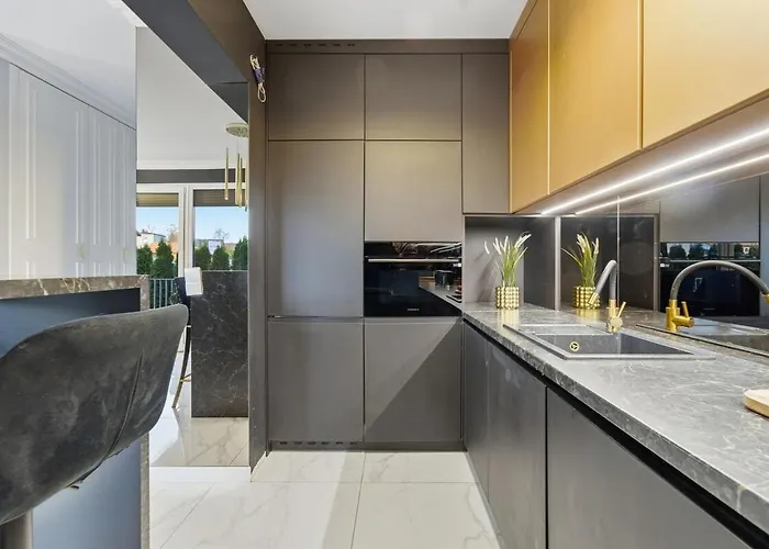 Midnight Garden - Homfi Collection 카토비체